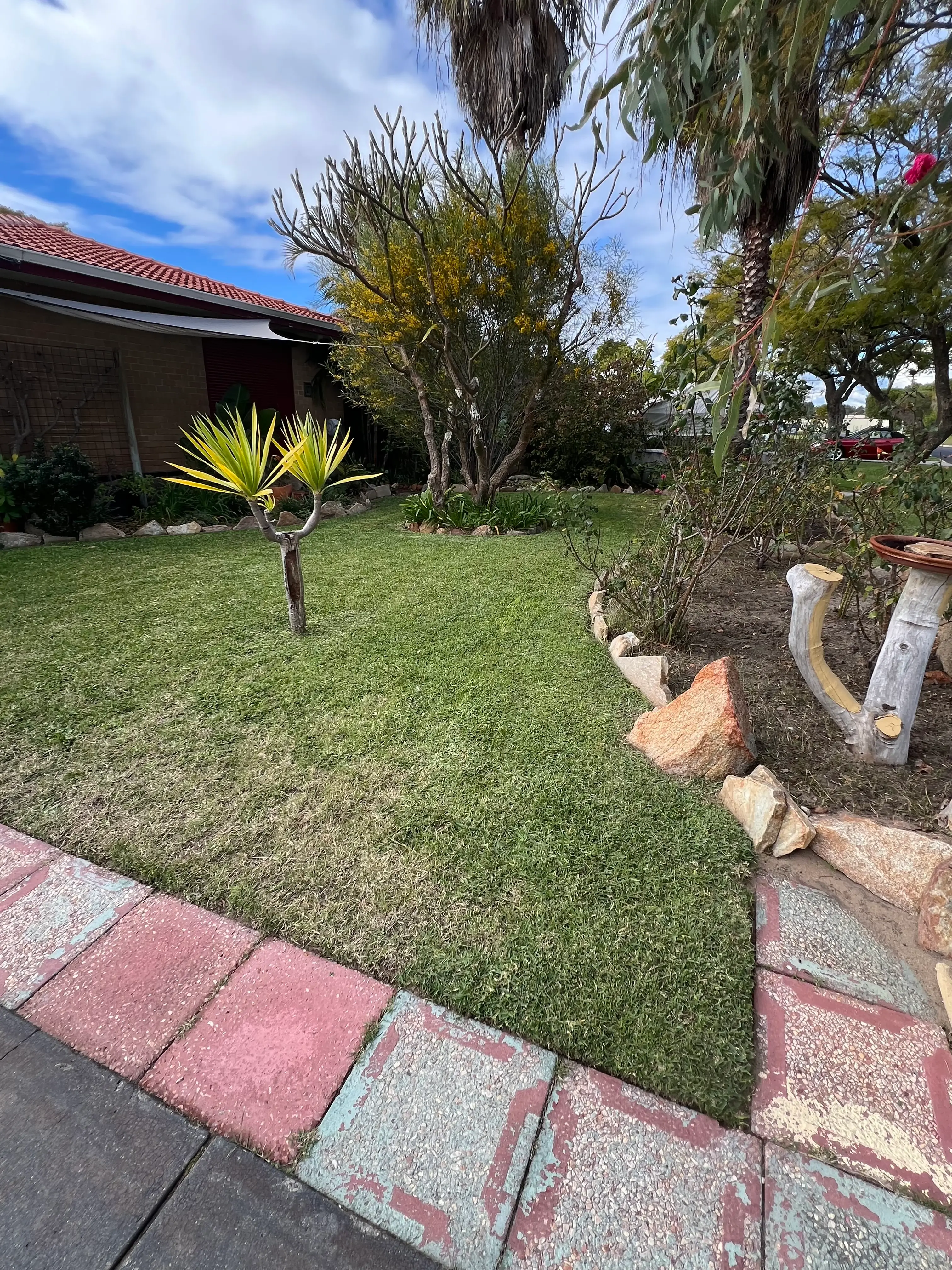 Front garden with a trimmed lawn, pruned plants and rock-edged beds