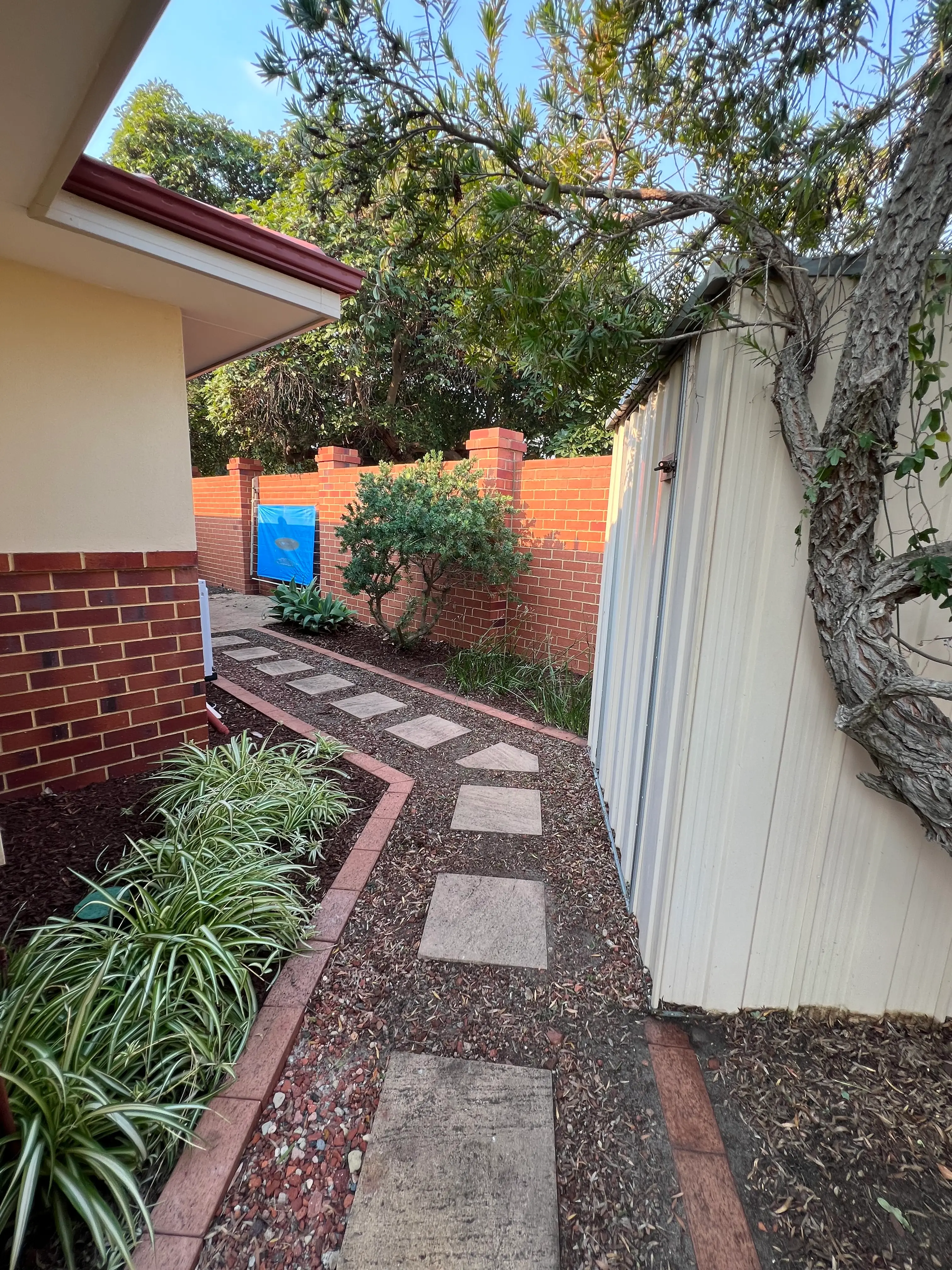 Narrow garden path with stepping stones, mulched beds and pruned shrubs
