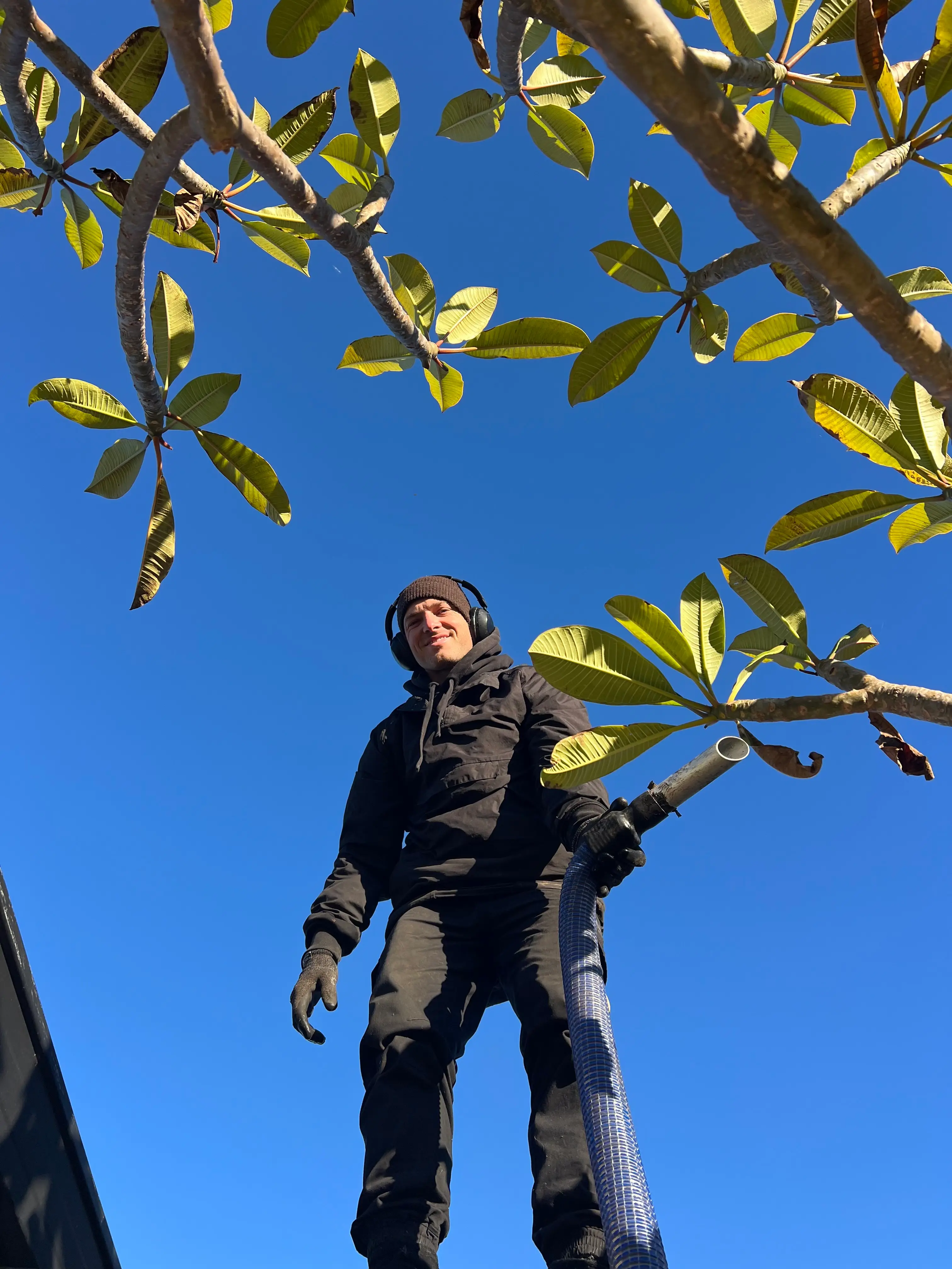 Worker holding a gutter vacuum hose beneath tree branches