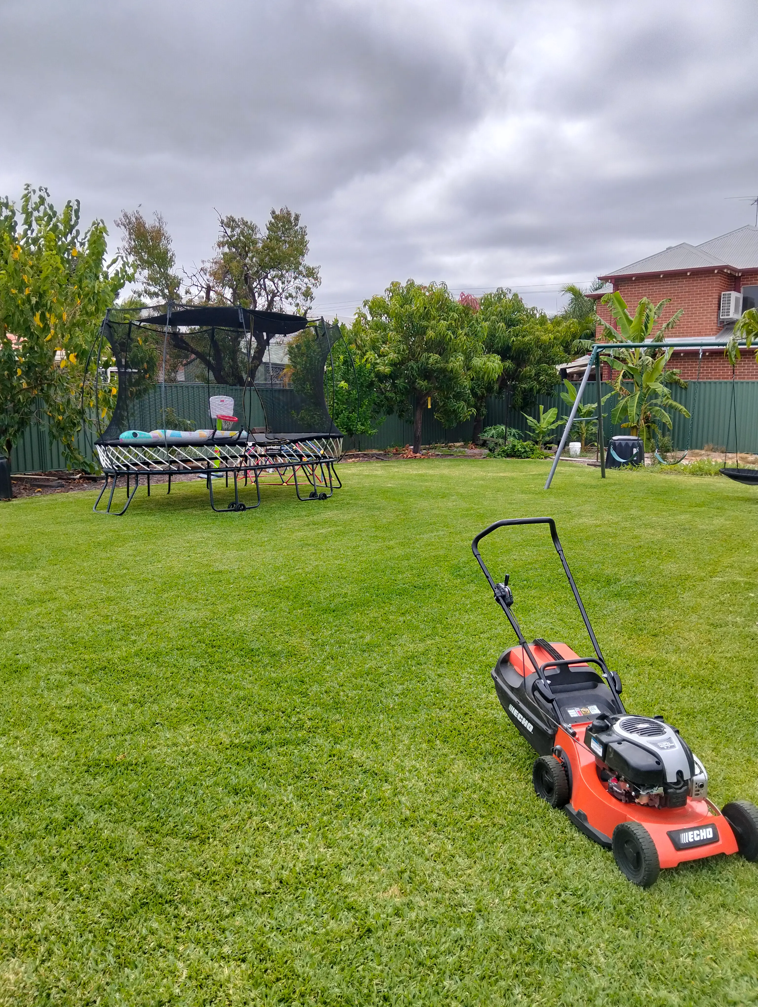 Freshly mown backyard lawn with a red lawn mower in the foreground