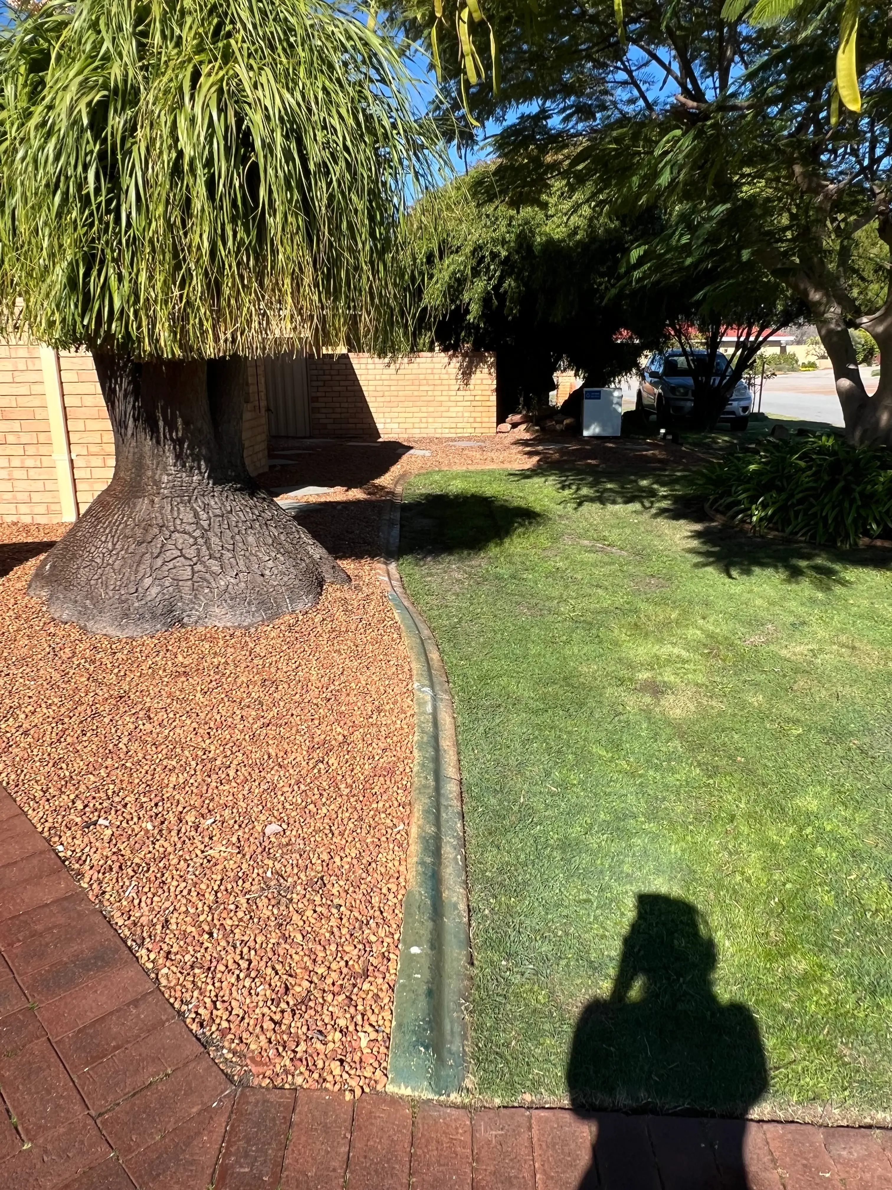 Same front garden with cut lawn, shorter palm foliage and cleared gravel beds