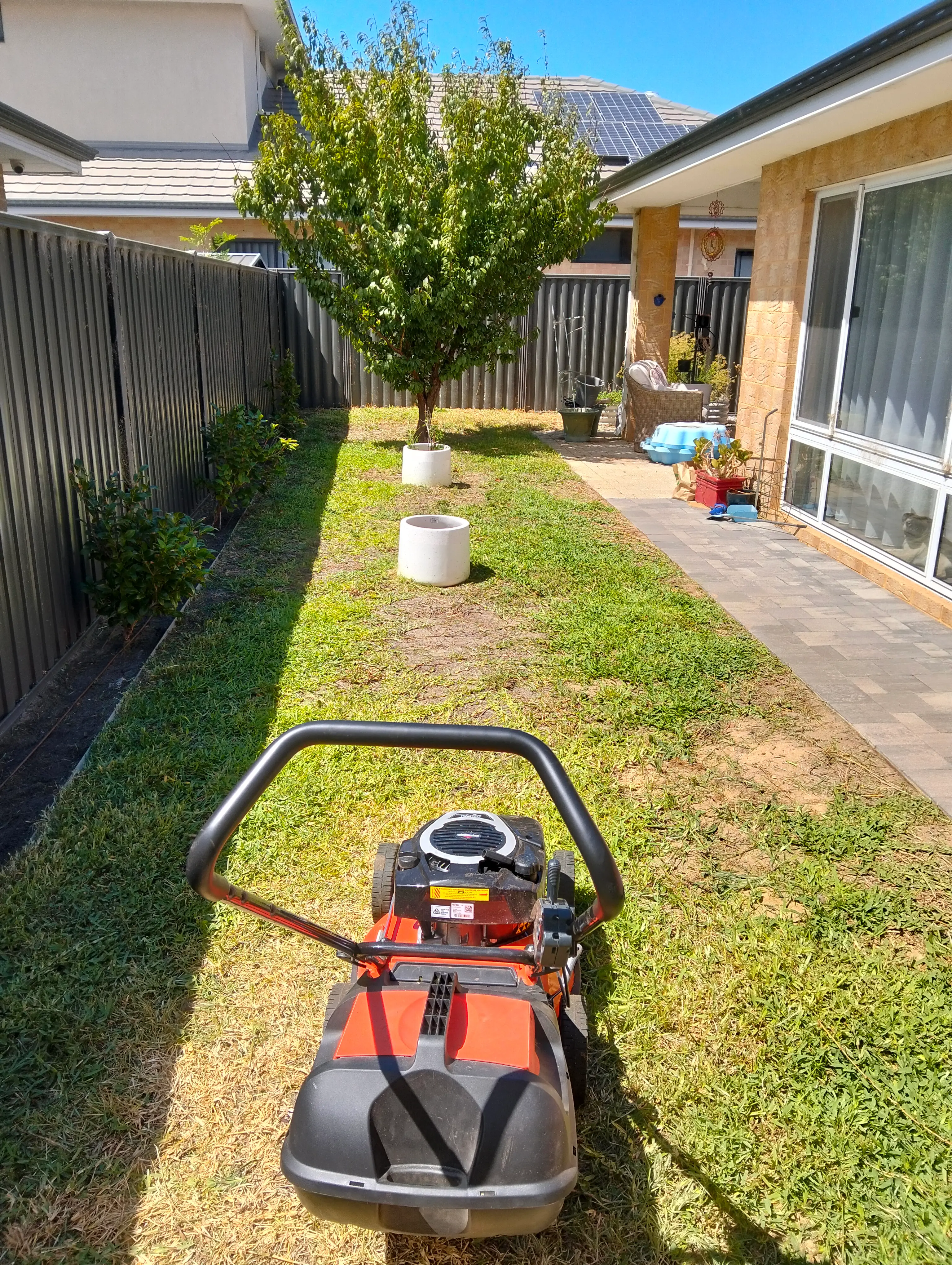 Same back garden with shorter grass and a lawn mower in the foreground