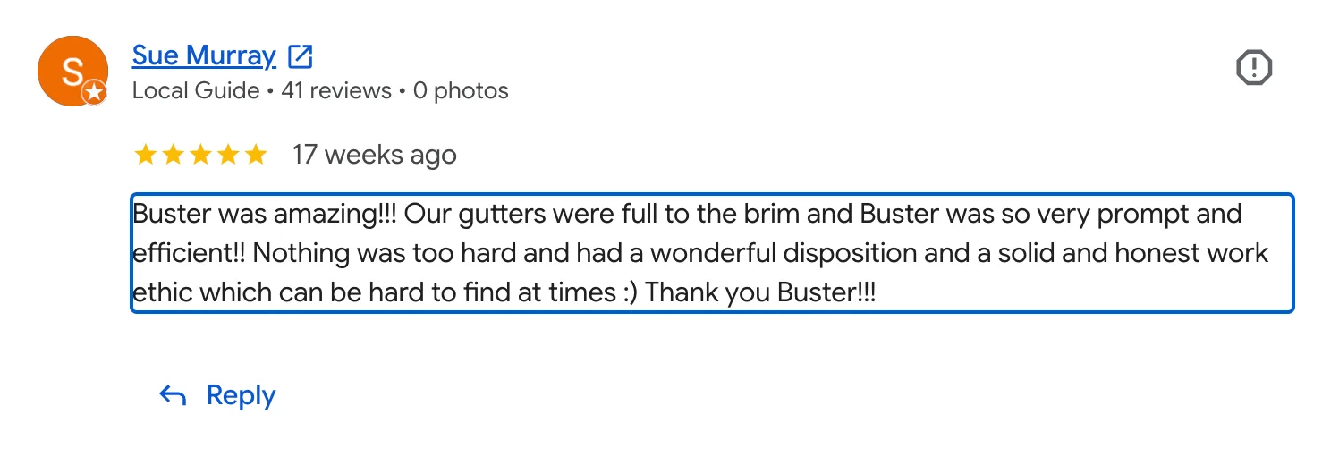 Screenshot of a customer Google review for Line & Level Property Care